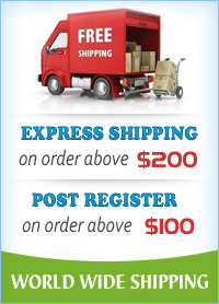 Free Shipping